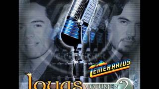 Los Temerarios  Fueron Tus Palabras [upl. by Towroy]