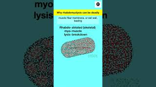 Rhabdomyolysis Why overworked muscles can be deadly rhabdomyolysis rhabdo muscledamgage [upl. by Seymour]