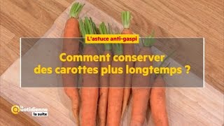 Comment conserver des carottes plus longtemps [upl. by Anora]