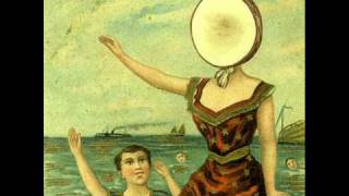 Neutral Milk Hotel  In the Aeroplane Over the Sea  with lyrics [upl. by Almap847]