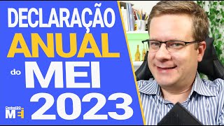 💰 DECLARAÇÃO ANUAL DO MEI  PASSO A PASSO FÁCIL [upl. by Anippesuig200]