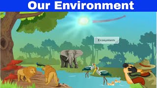 CBSE Class 10 Science  15  Our Environment  Full Chapter  by Shiksha House [upl. by Kathy]