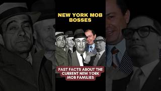 FIVE FAMILIES  Interesting Facts About the New York Mob Families Reveled gambinofamily [upl. by Surdna]