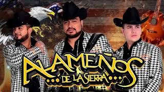 LOS ALAMEÑOS DE LA SIERRA MEGA MIX 2024  Puras Cumbias Sierreñas 🤠 Norteñas Puro Pa Bailar [upl. by Ferwerda461]