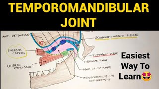 Temporomandibular Joint  1 TMJ  Head amp Neck Anatomy [upl. by Neeleuqcaj69]