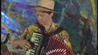 Cafe Accordion Orchestra  Baiao [upl. by Aldric]