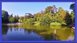 Sheepscombe Brook  Painswick Stream from Source to Stroud [upl. by Mccall]