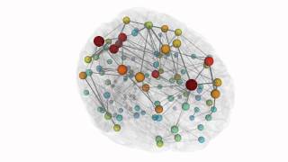 Visualization of structural network analysis [upl. by Rida617]