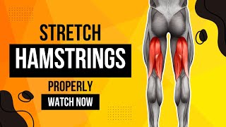 Proper ways to stretch hamstringsPhysical Therapy [upl. by Katrinka]