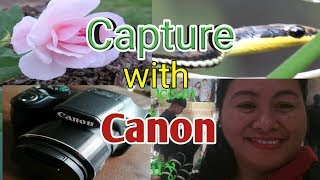 CAPTURE WITH MY CANON POWERSHOT SX540 HS CAMERA [upl. by Elwina]