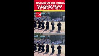 Thai Devotees Kneel As Buddha Relics Return To India  Watch [upl. by Sup]