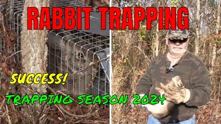 Rabbit Trapping Unveiling Some of The Secrets To Successful Catches [upl. by Ikiv]