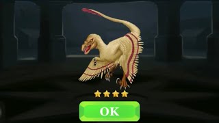 I got NEW Dinosaur collection Bambiraptor 4 Star Dino Zoo [upl. by Mathew]