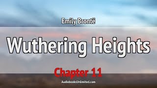 Wuthering Heights Audiobook Chapter 11 [upl. by Aehc186]