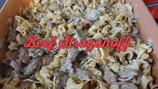 Beef StroganoffDoug amp Liza Channel [upl. by Ailes]