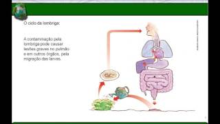 Vídeo Aula  Filo Nematelmintos [upl. by Drugi]