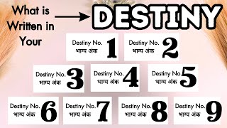 Pick Your Destiny Noभाग्य अंक☀️What is Written in Your Destiny in 2024☀️ [upl. by Initirb]