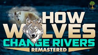 How Wolves Change Rivers REMASTERED HD  George Monbiot [upl. by Recor159]