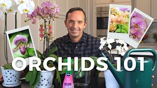 Caring for Orchids A StepbyStep Guide [upl. by Revorg928]