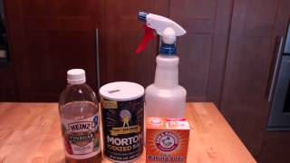 Homemade Flea amp Tick Repellent for Pets [upl. by Aneer]