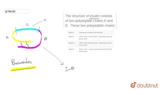 The structure of insulin consists of two polypeptide chains A and B  These two polypeptide chains [upl. by Haorbed]