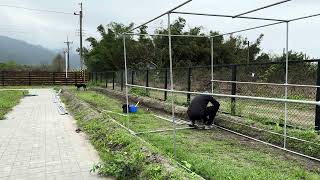 Building A Metal Shed Part1 [upl. by Jeannette]