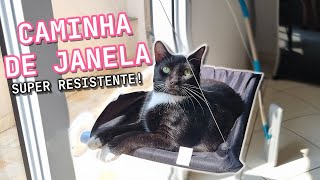 CAMINHA DE GATO DA SHOPEE  Montando e instalando [upl. by Llenel317]