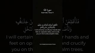 Surah Taha 71  Mishary al Afasy misharyalafasy mishary shorts [upl. by Atirrehs]