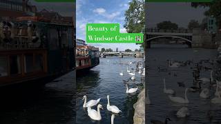 Windsor Castle Town windsorcastle uk subscribe travel vlog shortvideos shorts sharemychannel [upl. by Marcello]