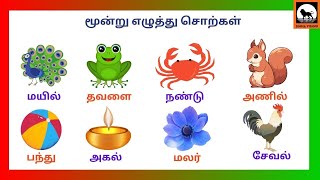 Three Letter words in Tamil  மூன்று எழுத்து சொற்கள்  threeletterwordsintamil threesimmavishnub [upl. by Nalyd]