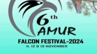 111213November 2024 6th Amur falcon festival chong pon po [upl. by Cathrin]