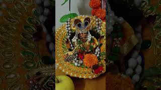 Shyama Shyam saloni Surat ko shingar basanti 🧿😘shortsvideo  shorts  laddu gopal shingar 🥰🙏 [upl. by Nnaeiram175]