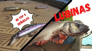 Mis 5 Señuelos TOP para LUBINA desde Playa  Pesca Costa Brava  Travel Vlog 4 [upl. by Haugen]