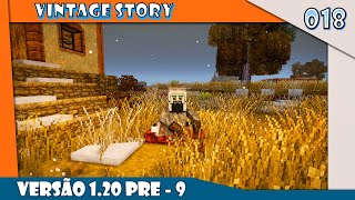 Vintage Story  Live v120 pre 018 [upl. by Nannerb]