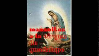 MAÑANITAS A LA VIRGEN DE GUADALUPE  Vicente Fernandez [upl. by Naicad]