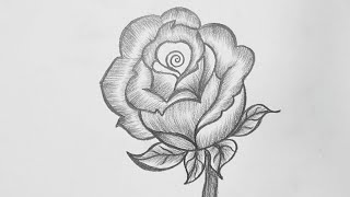 Pencil Drawing Rose Flower  How To Draw Rose Pencil Drawing  Easy Rose Pencil Drawing [upl. by Marasco]