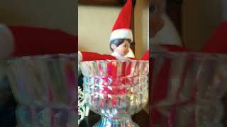 The elf on the shelf came early lol [upl. by Goth]