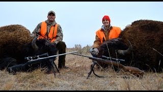 2013 Yellowstone Bison Hunt  Montana [upl. by Yttam179]