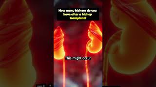 How many kidneys do you have after a kidney transplant kidneydisease kidney health foryou [upl. by Olotrab633]