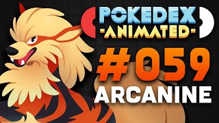 Pokedex Animated  Arcanine [upl. by Berlyn]