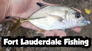 Ultralight Fishing in Saltwater Canals  Fort Lauderdale Fishing [upl. by Lyssa546]