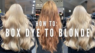 Hair Disaster Transforming Box dye to Blonde in one appointment with no breakage  tutorial [upl. by Suzetta]