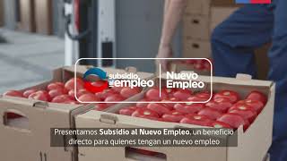 Subsidio al Nuevo Empleo [upl. by Ricard]