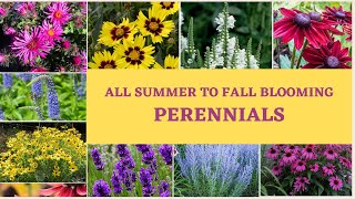 Best Perennial Flowers  All Summer Perennials  Perennials for that bloom all season  House Talks [upl. by Wetzel701]