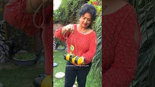 Garden Decoration Ideas  DIY Bee Planter From Small Plastic Bottles reels gardening shorts diy [upl. by Yemrej219]