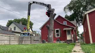 Grapple Saw Truck  Backyard Walnut Removal [upl. by Alial]