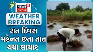 Rain News  રાત દિવસ મહેનત છતા તાત થયા લાચાર  Heavy Rain  Unseasonal Rain  Crop Damage  News18 [upl. by Marys]