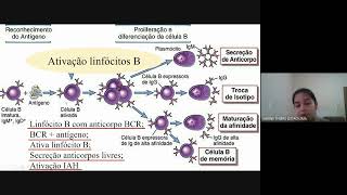 Imunologia  Anticorpos [upl. by Navannod]