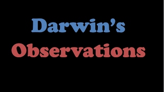 Darwins Observations [upl. by Madoc]