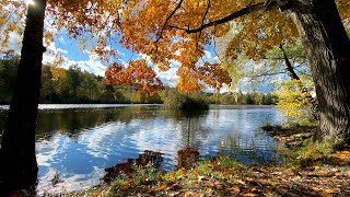 Herbst am Bettenauer Weiher Jodellied Im Morgengrauen aus dem Jodelmusical auf immer und ewig [upl. by Snebur]